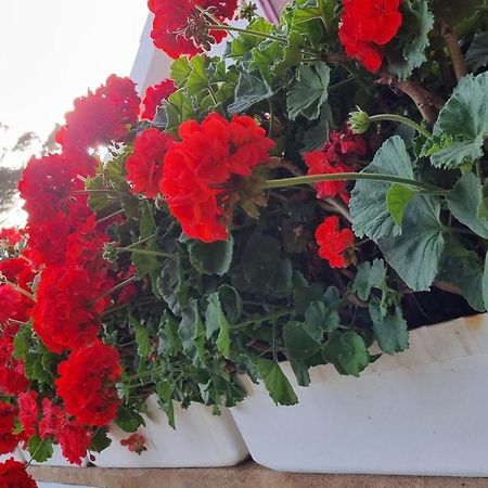 Finca Sa Cova De Mallorca Сенсельес Экстерьер фото