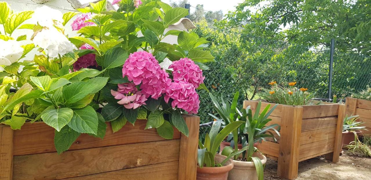 Finca Sa Cova De Mallorca Сенсельес Экстерьер фото