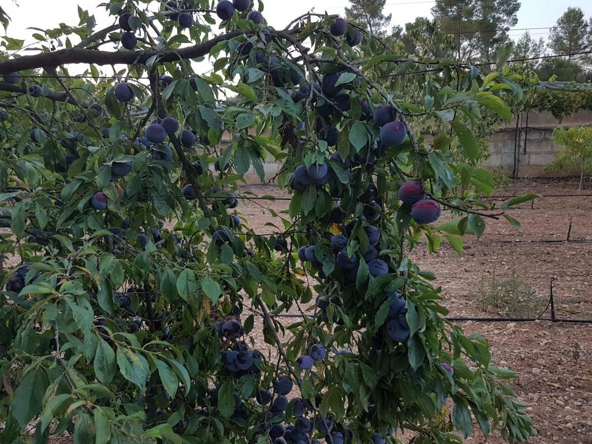 Finca Sa Cova De Mallorca Сенсельес Экстерьер фото