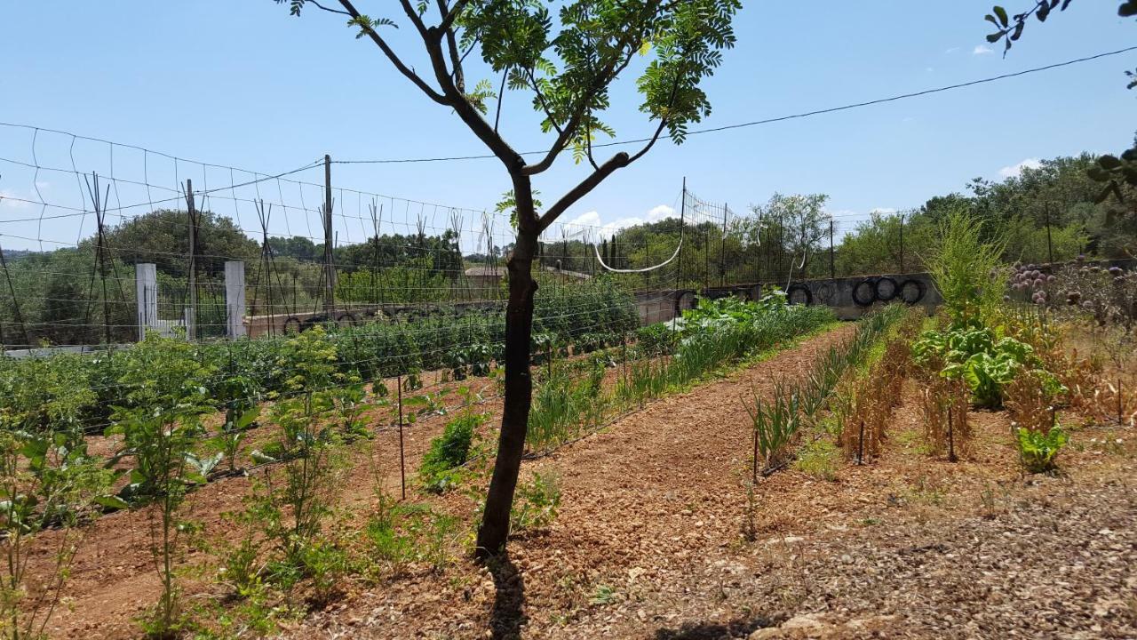 Finca Sa Cova De Mallorca Сенсельес Экстерьер фото