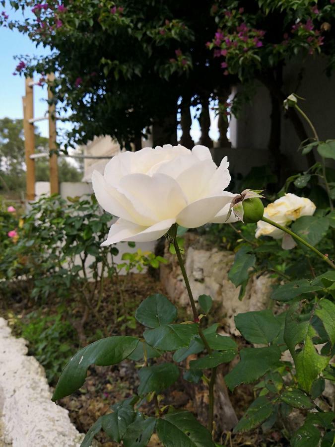 Finca Sa Cova De Mallorca Сенсельес Экстерьер фото