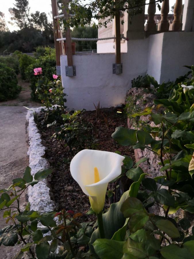 Finca Sa Cova De Mallorca Сенсельес Экстерьер фото