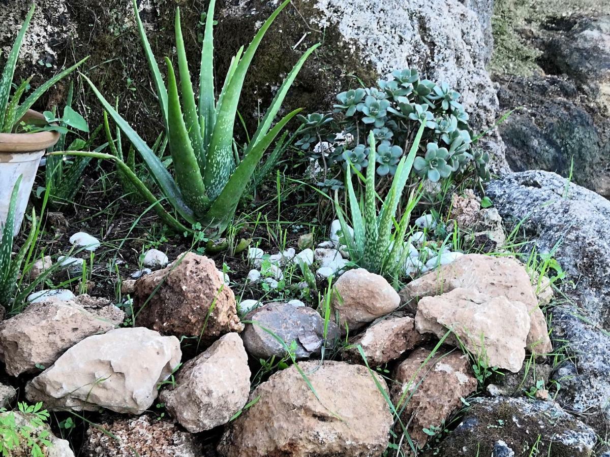 Finca Sa Cova De Mallorca Сенсельес Экстерьер фото